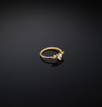 Anello Cupido