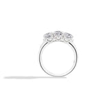 Anello Trilogy Anniversary