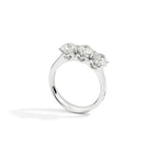 Anello Trilogy Anniversary
