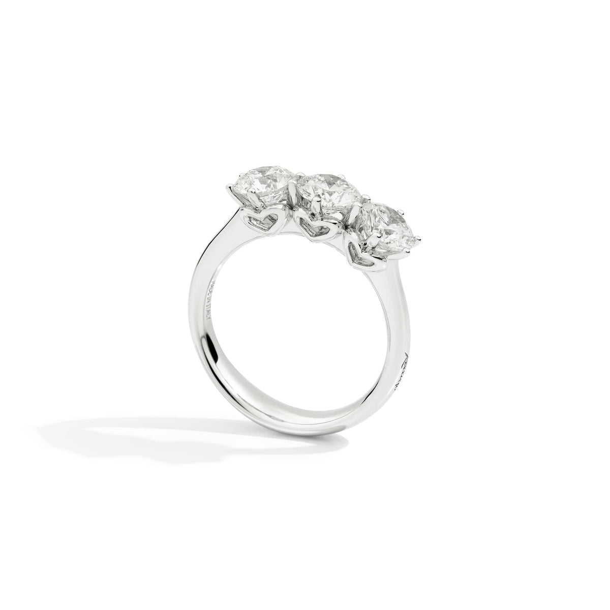 Anello Trilogy Anniversary