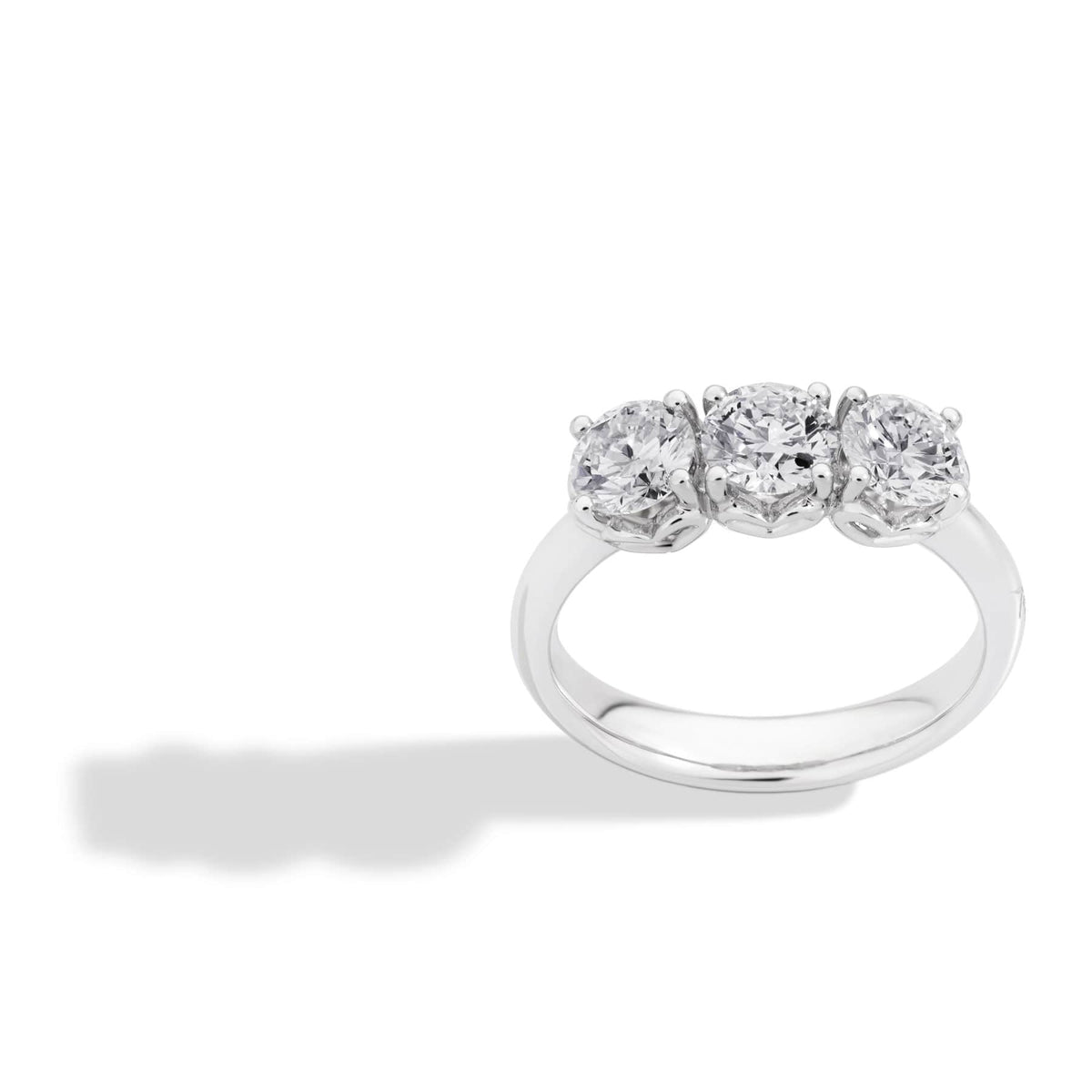 ANELLO TRILOGY ANNIVERSARY