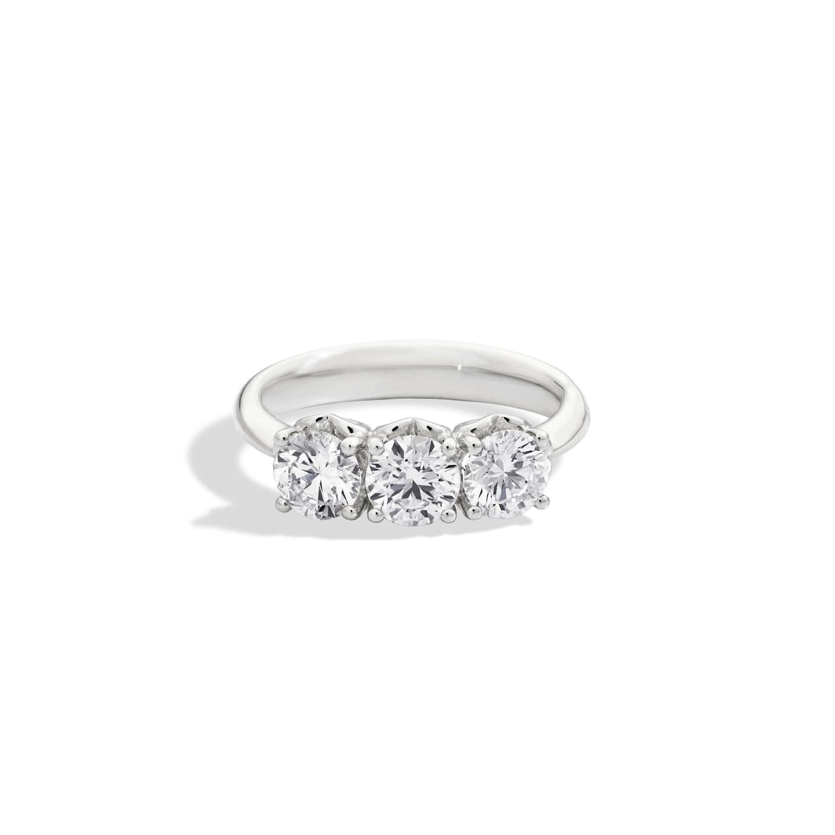 ANELLO TRILOGY ANNIVERSARY