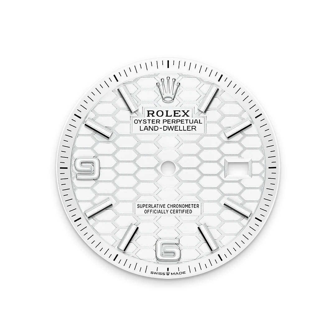 RolexLand-Dweller 36 – Il quadrante bianco intenso