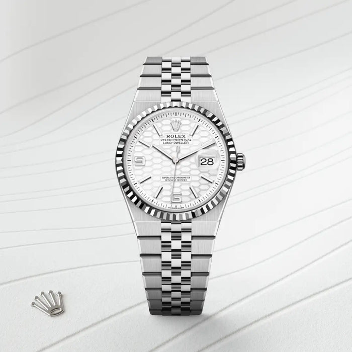 RolexLand-Dweller 36