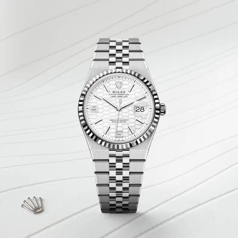 RolexLand-Dweller 36