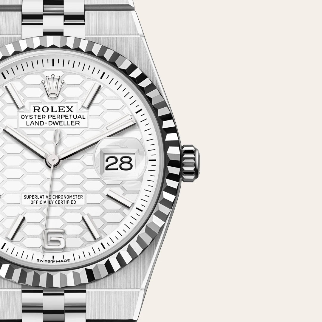 RolexLand-Dweller 36