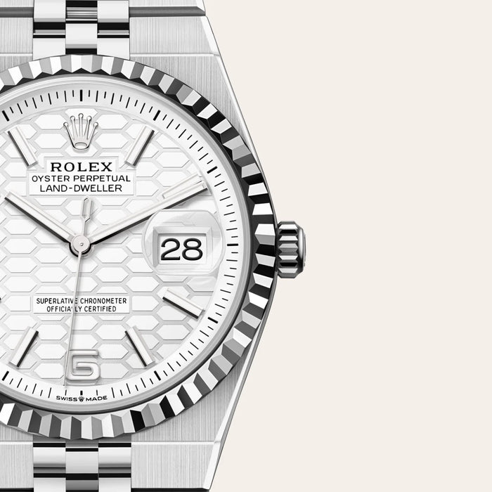 RolexLand-Dweller 36