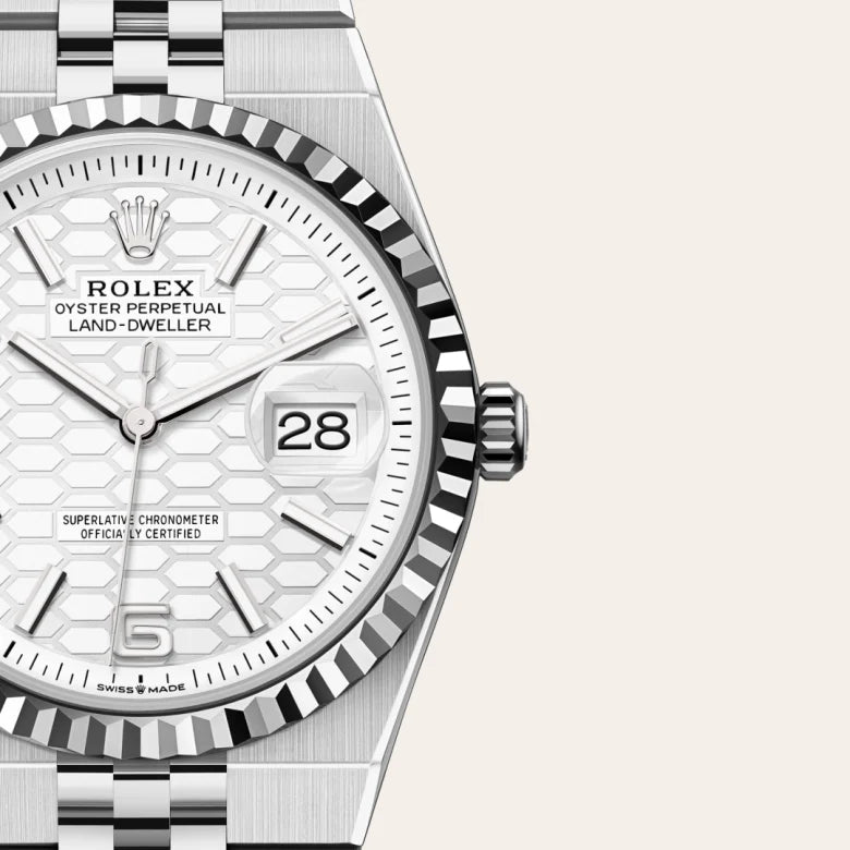 RolexLand-Dweller 36