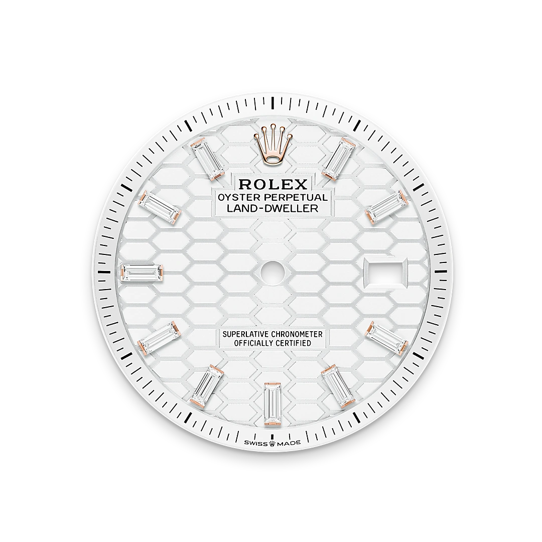 RolexLand-Dweller 36 – Il quadrante bianco intenso