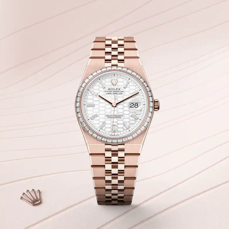 RolexLand-Dweller 36