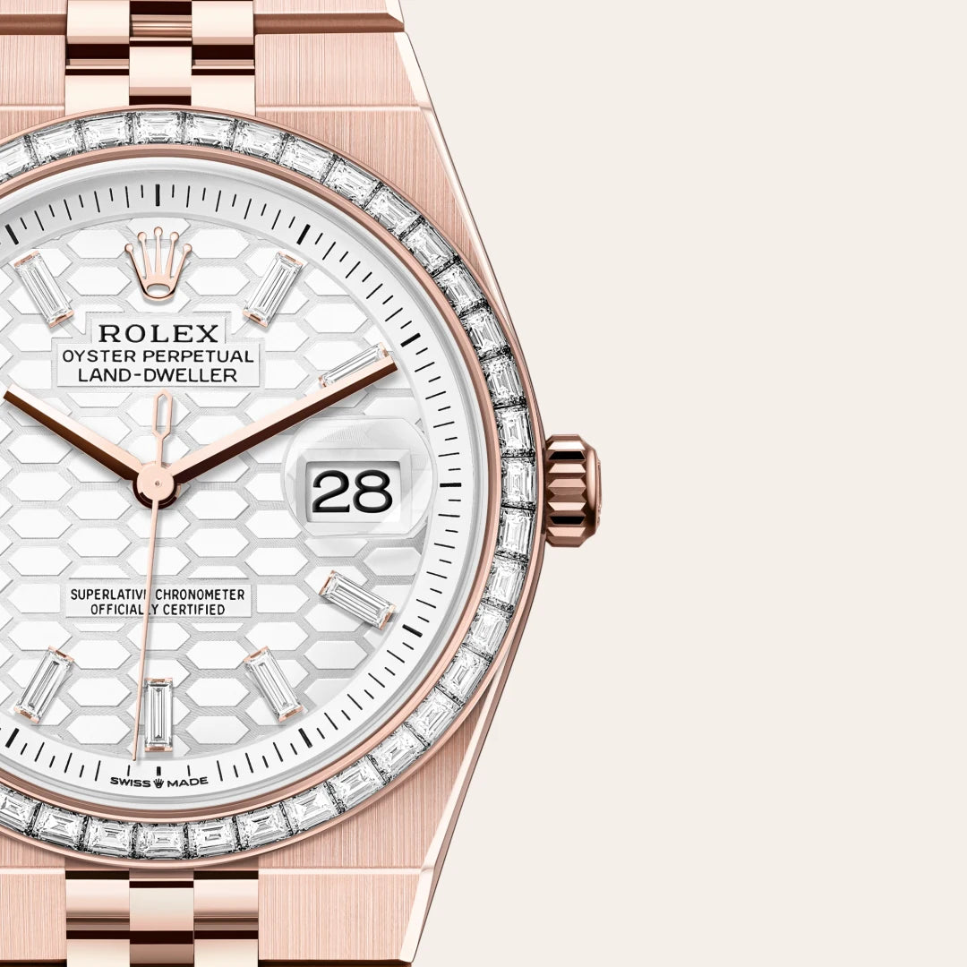 RolexLand-Dweller 36
