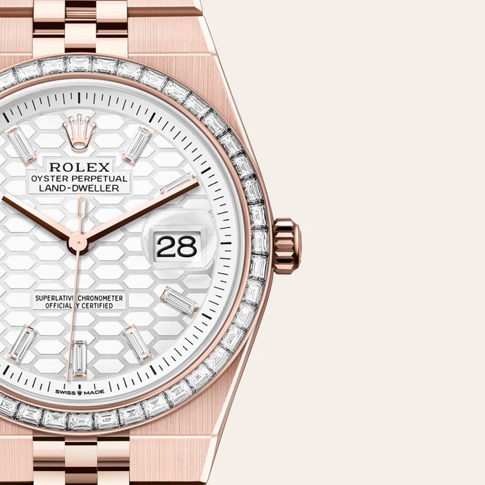 RolexLand-Dweller 36