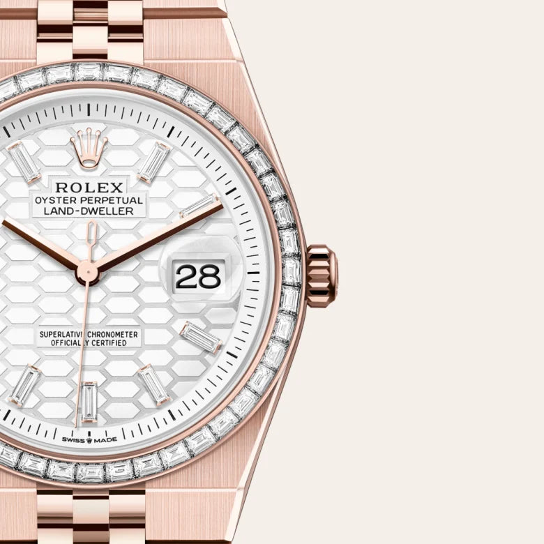 RolexLand-Dweller 36