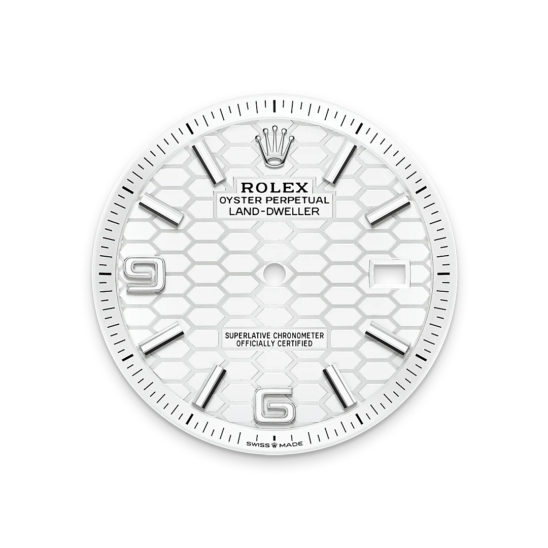 RolexLand-Dweller 40 – Il quadrante bianco intenso