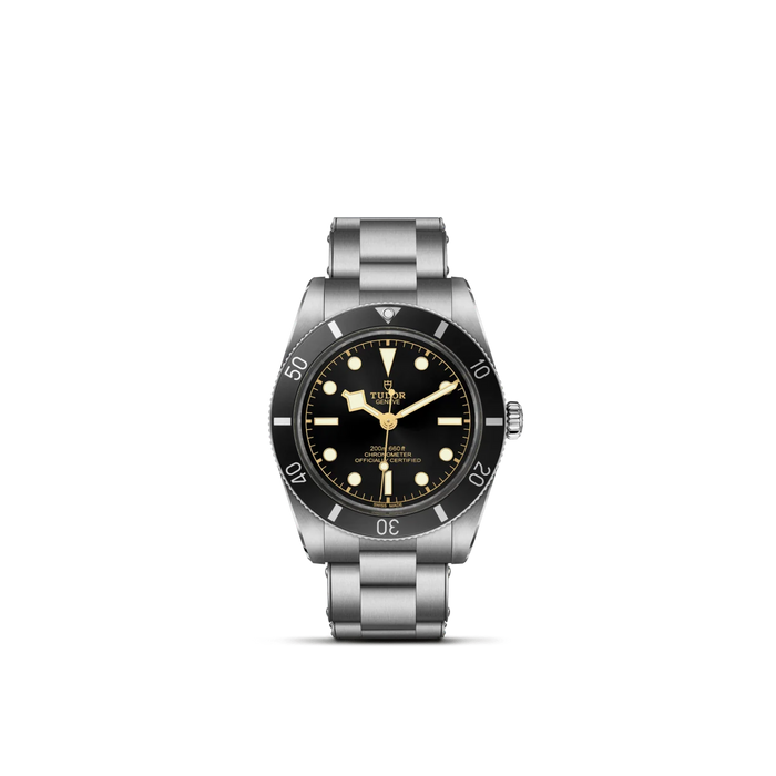 TUDOR Black Bay 54