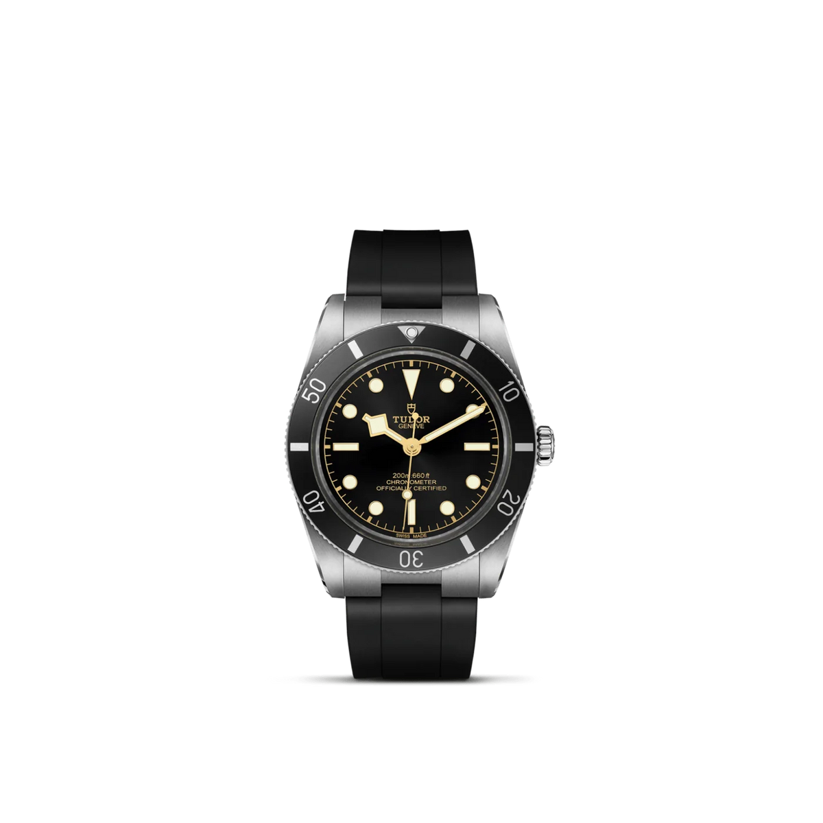 TUDOR Black Bay 54 M79000N-0002