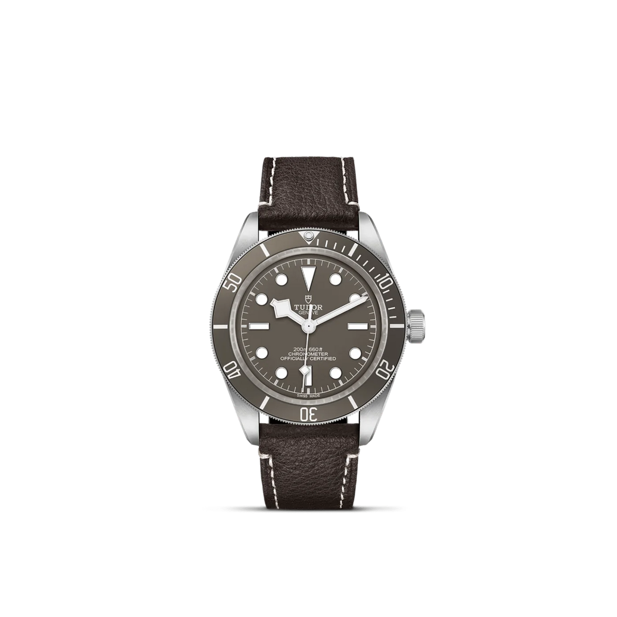 TUDOR Black Bay 58 925 M79010SG-0001