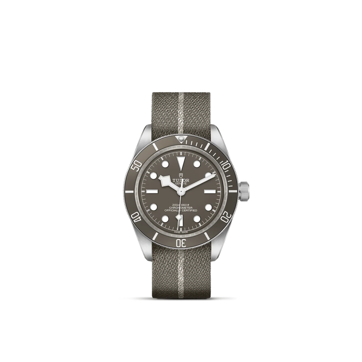 TUDOR Black Bay 58 925 M79010SG-0002