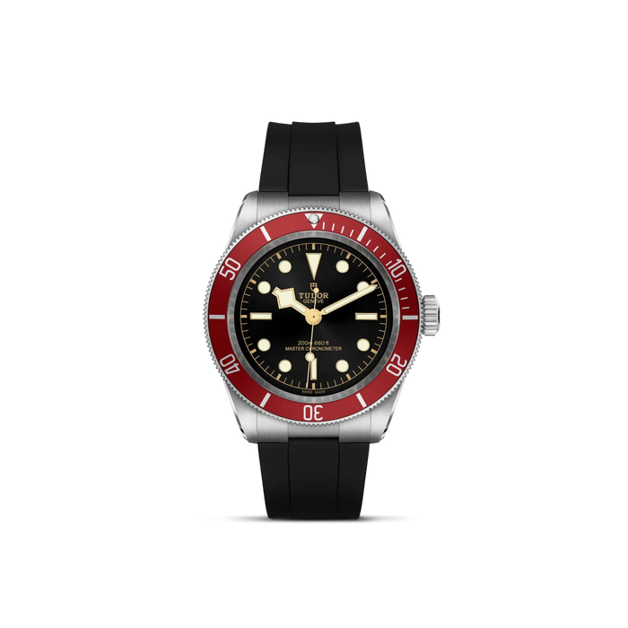 TUDOR Black Bay