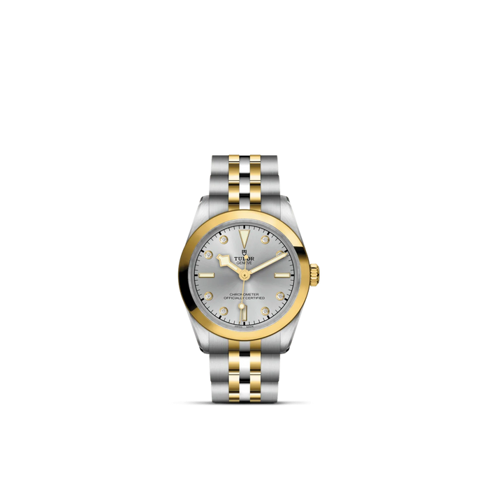 TUDOR Black Bay One 31 S&G